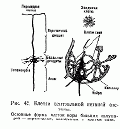  1.   