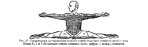  3.   