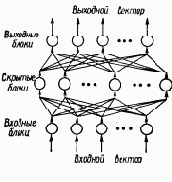 Сети с прямыми связями.