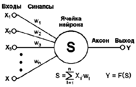 Нейронные сети: основные положения